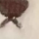 彩色