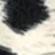 trắng