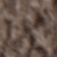 Màu Khaki