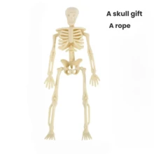 Halloween Skeleton Decoration, Movable Skeleton Prop For Haunted House, Holiday Scene Decor - Multicolor - View 7