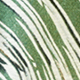 Nhiều màu