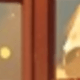 彩色
