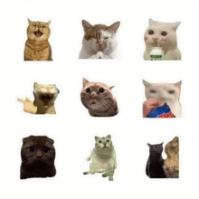 500张可爱搞笑猫咪表情包贴纸，恶搞贴纸，美观贴纸，适用于笔记本电脑、水瓶、滑板、吉他、行李箱、头盔、相机、计划本、笔记本 - 纸质材质，适合日记、剪贴簿、DIY手工、笔记本电脑、手机壳、礼品包装 - 彩色 - 查看 8