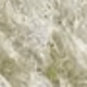 米白色