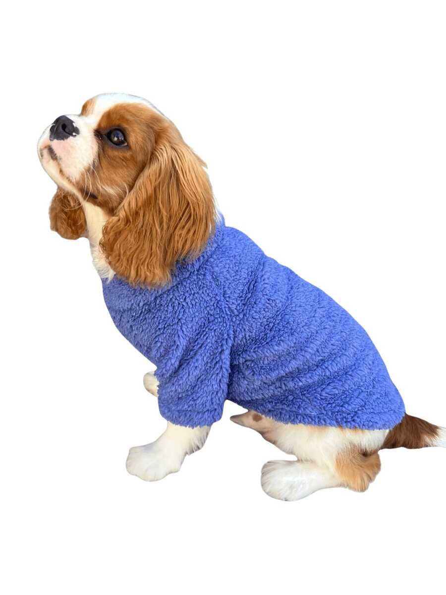 Dog Clothes Male Female Small Winter Spring For Pets Cat - Màu xanh lam - Xem 1