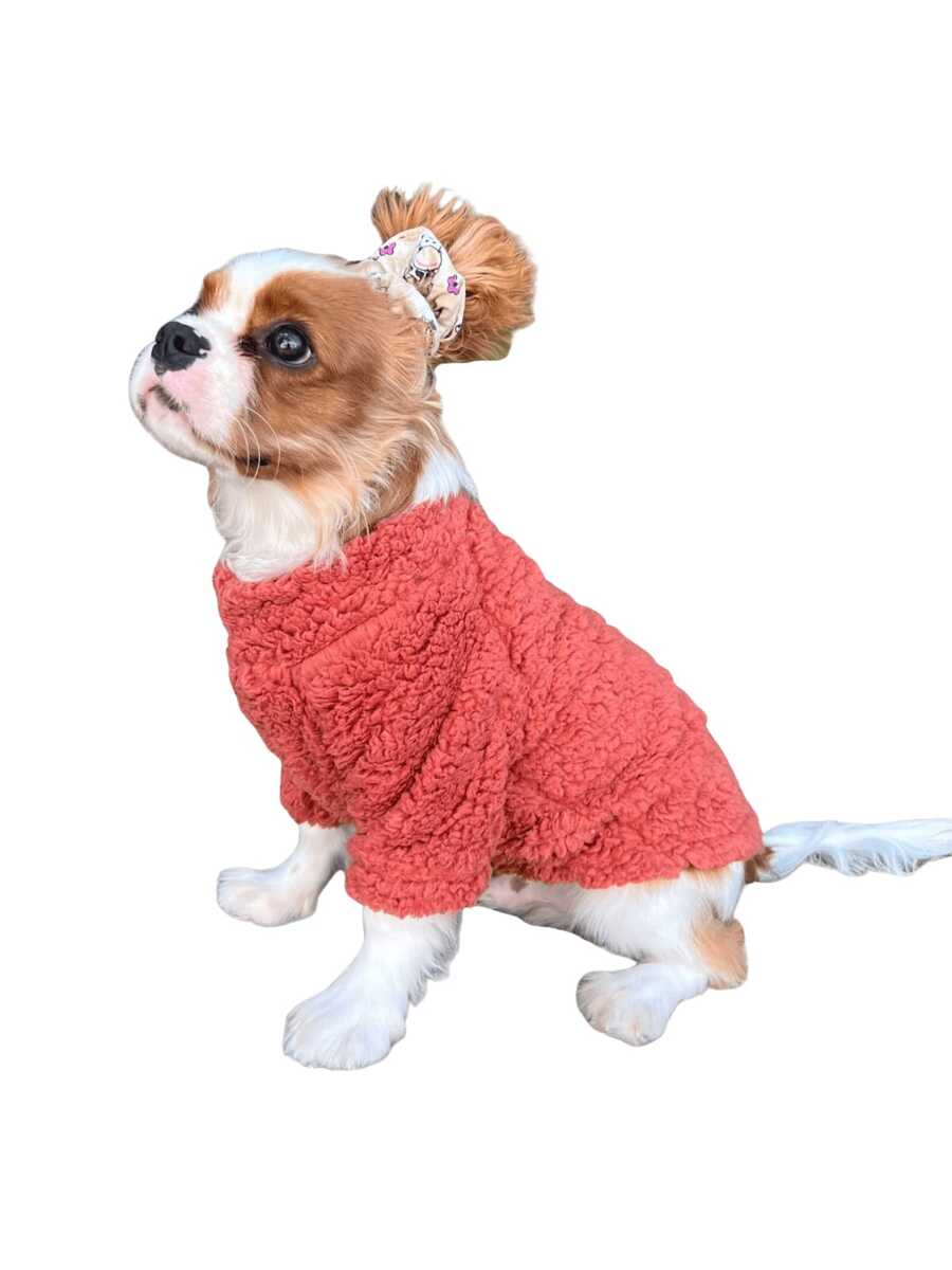 Dog Clothes Male Female Small Winter Spring For Pets Cat - Burnt Orange - View 1