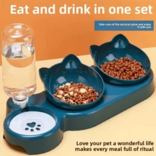 Elevated Pet Feeder Automatic Drinker With Triple Limiter - Pink - View 2