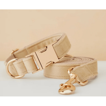 1 套 2 个柔软舒适的锌合金宠物项圈牵引绳，适用于小型、中型和大型犬，宠物项圈狗项圈，锌合金设计，坚固耐用，易于扣合和解开，高端狗项圈，婚礼，情人节（由于面料、批次和颜色不同，可能略有不同，随机发送）