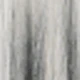 黑與白