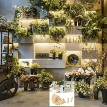 20/40 buc Suporturi din lemn pentru numere de masă pentru nunți și evenimente - Suporturi elegante pentru numere de masă, Suporturi pentru carduri de nume și fotografii, Potrivite pentru fotografii, Cartonașe, Meniuri - Perfecte pentru nunți, petreceri și evenimente, Cleme pentru carduri de nume, Cleme din lemn pentru mesaje cu numere de masă pentru restaurant și nuntă