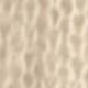 Earthy Apricot Color