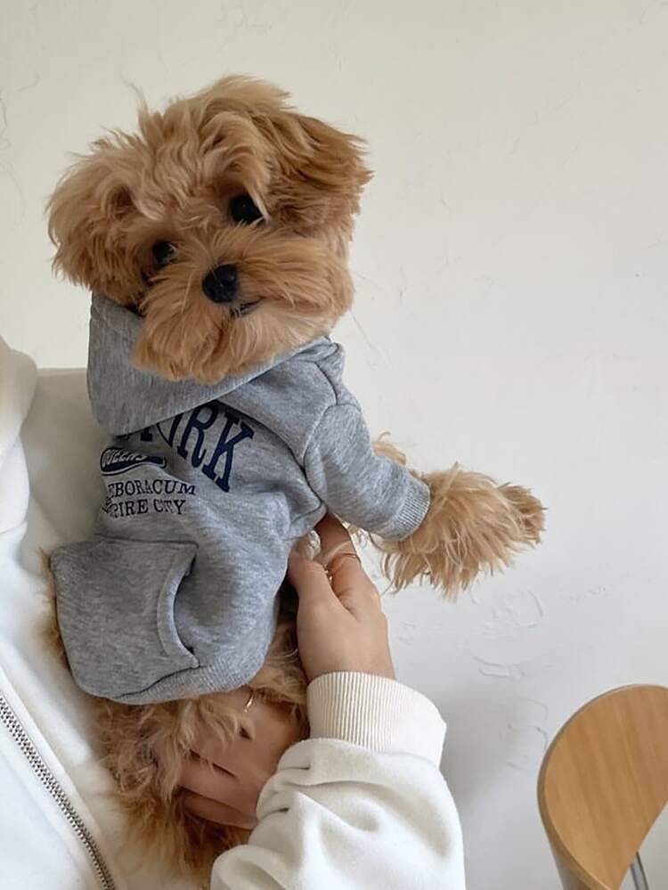 1 件新款秋冬狗狗猫咪连帽运动衫，百搭套头衫，适合贵宾犬、比熊犬、雪纳瑞犬和小型宠物 - 彩色 - 查看 21