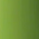 GREEN TEA 50ml
