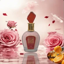 1 Stück 100ml Arabischer Duft aus dem Nahen Osten, Brasilianischer Duftspray, bis zu 6 Serien zur Auswahl für Innen- und Außenraumdüfte, Mehrschichtiger Hochglanz-Spray, der lang anhaltende natürliche Frische und bezaubernde Essenzen enthält, die einen eleganten Vanille-Kokos-Blüten-Zitrusholz-Aquatik-Meeresduft von Rio de Janeiro freisetzen. Geeignet für Dates, Partys, Urlaub, Familien, Hotels, Büros und ein ideales Geschenk für Familie, Verwandte und Freunde.