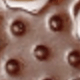 彩色