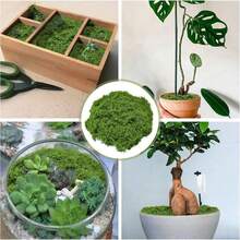 60克/2.12盎司 40克/20克 人造苔藓草坪（2026最新版），仿真苔藓微景观布局，绿色植物草坪，盆栽窗台装饰，景观设计 - 綠色 - 查看 6