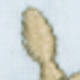 Rừng Hươu Cao Cổ