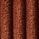 Coral Orange