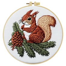 1 Piece Embroidery Kit, Cute Squirrel Handmade DIY Embroidery Kit 20x20cm/7.9x7.9 Inches, Suitable For Adult Beginners, Including Instruction Manual, Printed Fabric, Embroidery Frame And Needle And Thread - Multicolor - View 6
