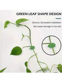 30 件隐形挂钩，适用于常春藤、植物攀爬固定器、壁挂式藤架夹 - 彩色 - 查看 10