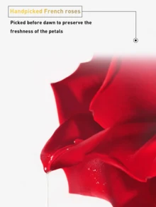LOREAL L'Oreal Paris Elvive Extraordinary Oil, 30/50/100ml, Suitable For Color-Treated Hair, Nourishing And Smoothing, Lightweight Formula, Containing Shark Squalane And Vitamin E, Repairs Damaged Hair, Restores Shine And Softness. Enriched With Rare French Rose Oil, Suitable For Daily Use And Styling Aftercare, Provides Antioxidant Protection And Strengthens Hair Barrier.