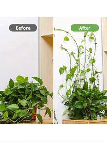 30 件隐形挂钩，适用于常春藤、植物攀爬固定器、壁挂式藤架夹 - 彩色 - 查看 9