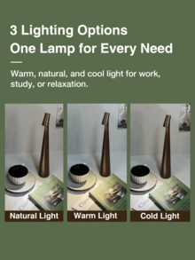 无线充电式台灯，三档亮度可调，防水触控，适用于卧室、客厅、床头柜及户外，是理想的夜灯礼物之选。 - 普通的 - 查看 4