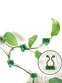 30 件隐形挂钩，适用于常春藤、植物攀爬固定器、壁挂式藤架夹 - 彩色 - 查看 13