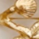 Juego de anillos de estrella de mar