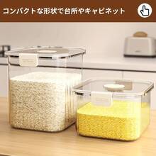 Rice Storage Bins