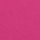 Rosa Fucsia