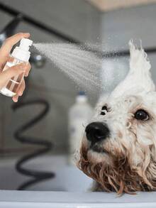 3个超细喷雾香水可填充瓶，面部保湿爽肤水化妆品小样空喷雾瓶，消毒酒精喷雾器