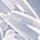 transparente