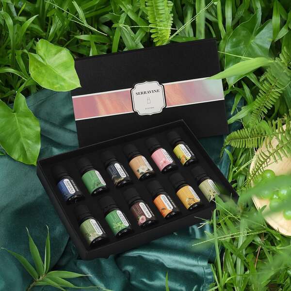 1 pieza/3 piezas/5 piezas Set de Aceites Esenciales Naturales, que ofrece una selección de fragancias maravillosas como lavanda, rosa, jazmín, etc. El elegante empaque lo convierte en un excelente regalo. Colocarlo en un difusor es muy efectivo y adecuado para aromaterapia, relajación, masaje, cuidado del hogar, fragancias, humidificadores y decoración de habitaciones.