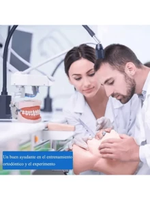 Kit de Modelos y Herramientas Odontológicas, Enseñanza Investigación, Con Resina Implantes, Ideal para Tratamientos de Endodoncia Prácticos - Blanco - Ver 5