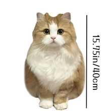 定制宠物抱枕，家居装饰，个性化双面照片印花抱枕，可机洗，休闲风格，拉链设计，填充物为聚丙烯和聚酯纤维面料，独特礼物，适合生日、感恩节、圣诞节、情人节、万圣节等节日赠送。透气、轻便、可水洗、可爱、充满爱意、柔软、舒适、简约、可定制、个性化、独特，适合送给他、她、男朋友、女朋友、爸爸、妈妈、家人、朋友，可用于床、车、卧室、茶室、客厅、沙发等场所，是家居纺织品，营造圣诞家居氛围。