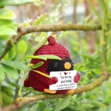 1 buc. Ornament decor pentru birou croșetat manual, în formă de pasăre drăguță, cadou ideal pentru cele mai bune prietene, surori, ziua de naștere, Crăciun, Halloween, potrivit pentru ea, el, copii, colegi, familie, artizanat, vibrații pozitive, decorațiune creativă pentru păpuși de pluș pentru petrecere.