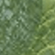 Nhiều màu
