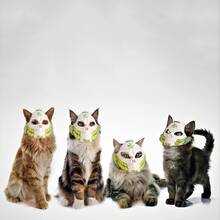 Owl Helmet Mask, Stylish Pet Costume For Halloween, Suitable For Various Sizes Of Cats, Cat Mask, Funny Prop, For Halloween, Thanksgiving - Animal Themed, Cosplay Mask, Halloween Headpiece