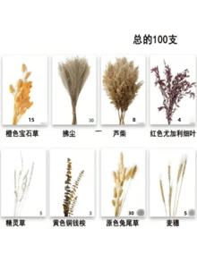 100 piezas Ramo de flores secas de otoño, incluye espadaña, colas de conejo naranja, lavanda y eucalipto rojo, decoración de estilo bohemio para otoño, adecuado para el hogar, jarrón, porche y Acción de Gracias, Navidad, decoración del hogar, arreglo floral de otoño