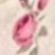 粉色