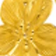 Amarillo Oro