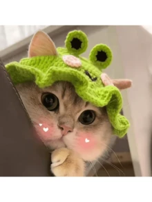 手工编织可爱有趣的宠物帽、帽子、头饰，适合猫、狗、兔子和角色扮演 - 彩色 - 查看 20