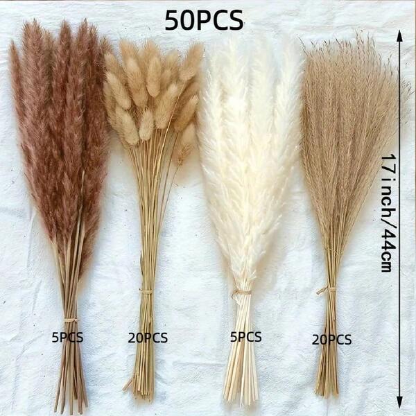 38/50/80pcs Natural Premium Pampas Grass Decor - Dried Rattan Flowers For Home, Wedding, Event & Festive Season Decorations (Christmas, Halloween, Easter, Thanksgiving)