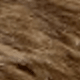 Brown-296