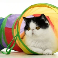 Colorful Cat Maze Tunnel Pet Toy - Multicolor - View 2