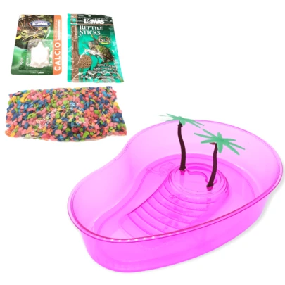 Tortuguero Riñon Grande Transparente 2 Palmeras Kit Accesorios