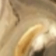 彩色