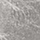 Bạc