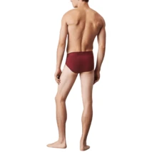 Calvin Klein Men's Briefs - Bordeaux - View 4